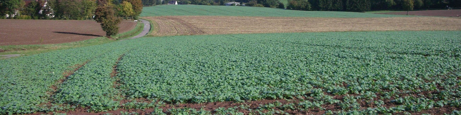 The upper Begavalley in the german district Lippe near by the hanseatic town Lemgo