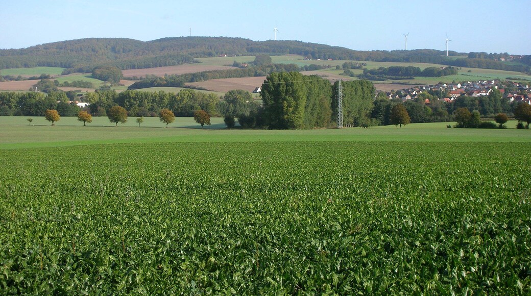 Südwestliche Ansicht des 398 m hohen Dörenberg mit der Ortschaft Humfeld in der lippischen Gemeinde Dörentrup.