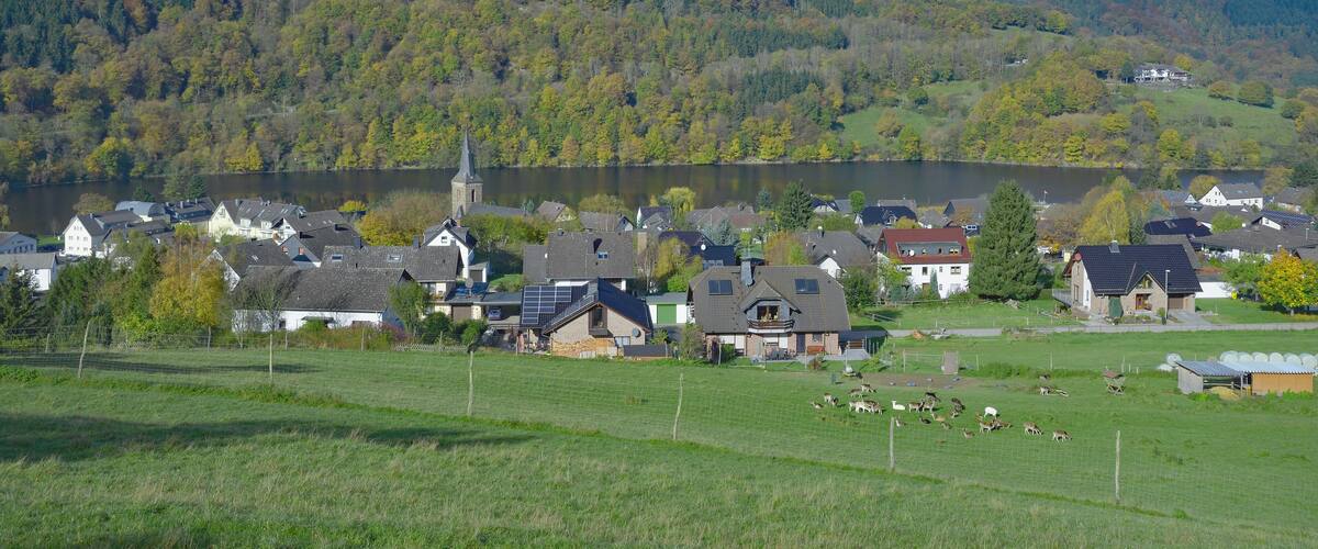 A lakeside village with houses, a church, and a forested hill.