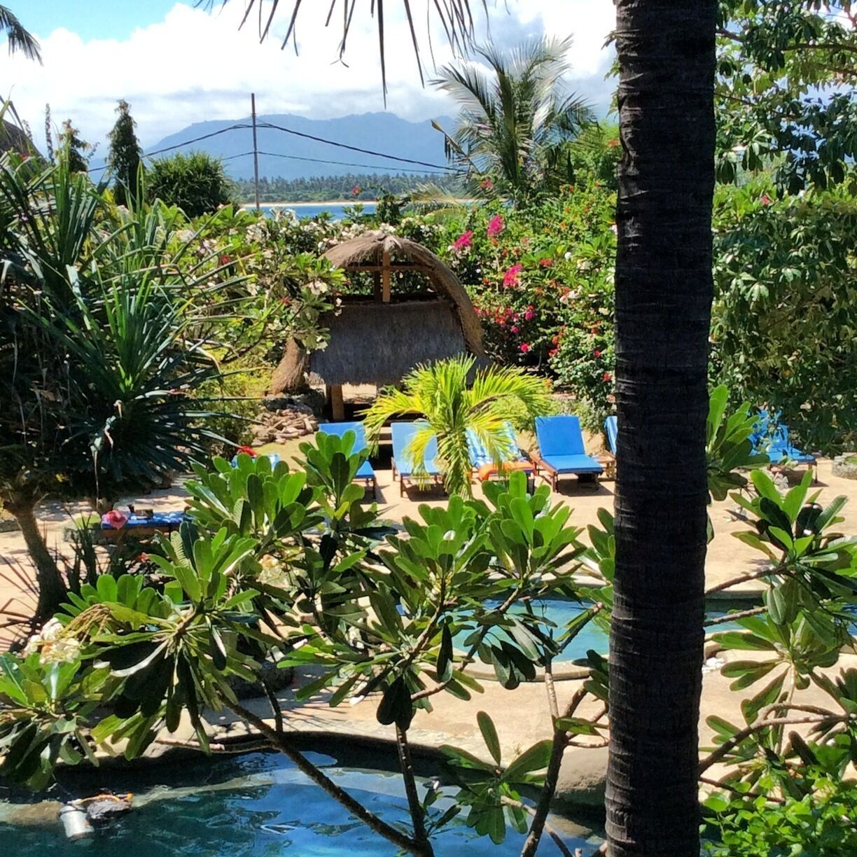 A poolside area with blue lounge chairs, a thatched-roof structure, and lush tropical vegetation.