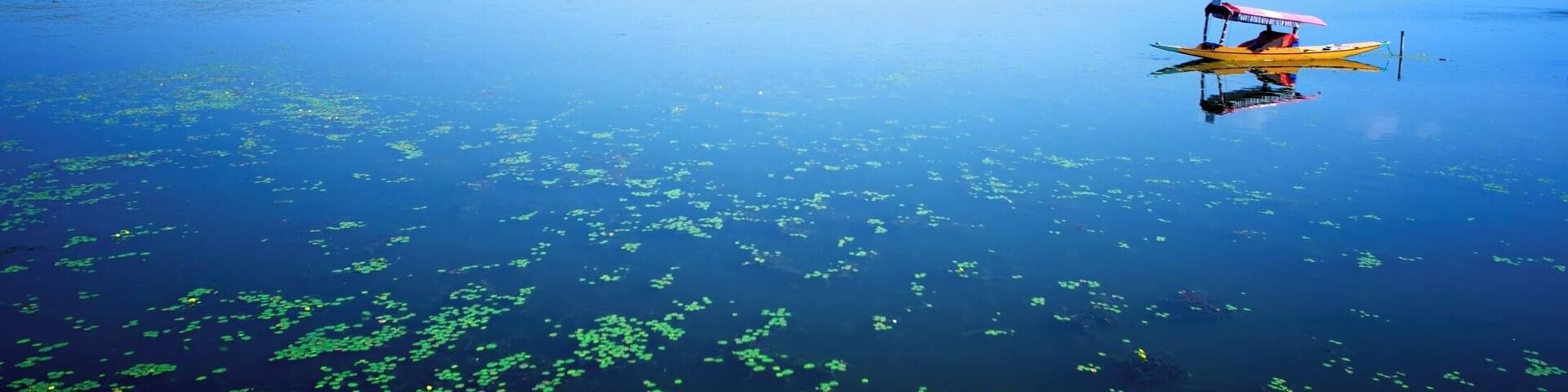 Boat on Dal lake, Srinagar, Kashmir