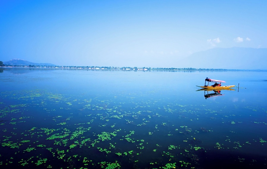 Boat on Dal lake, Srinagar, Kashmir