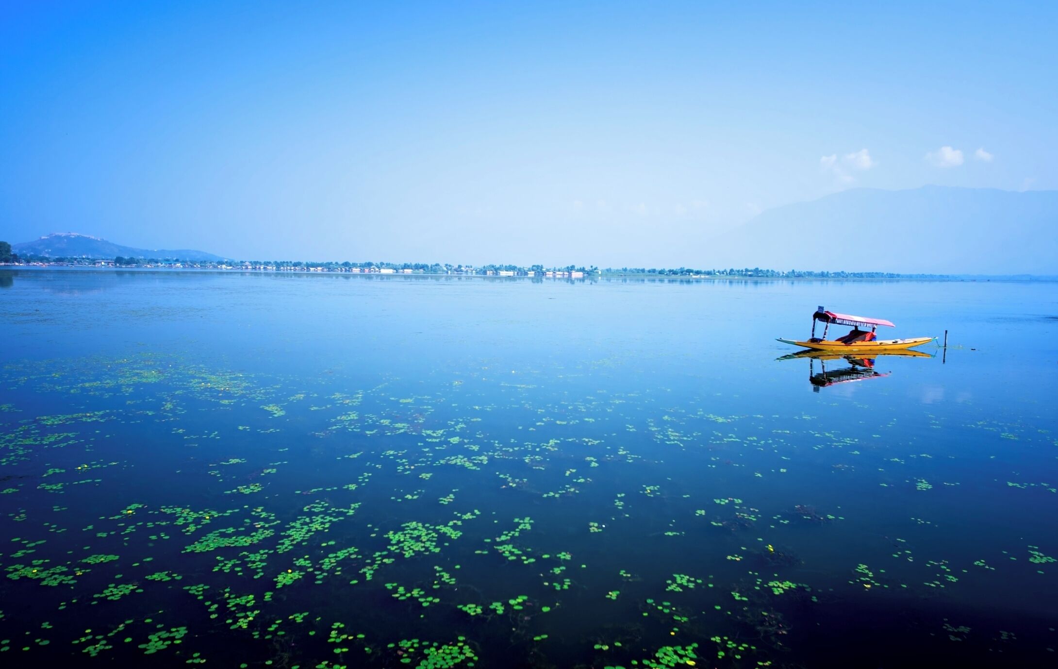 A calm lake with green algae, a small yellow boat with a red canopy, and a distant shoreline with buildings and mountains.