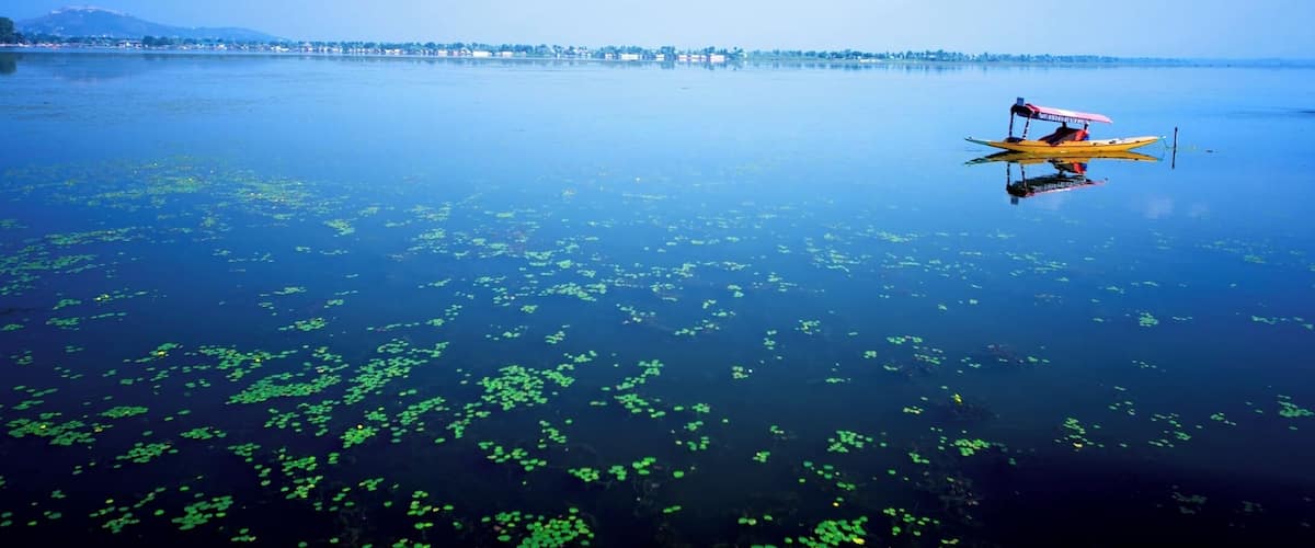 A calm lake with green algae, a small yellow boat with a red canopy, and a distant shoreline with buildings and mountains.
