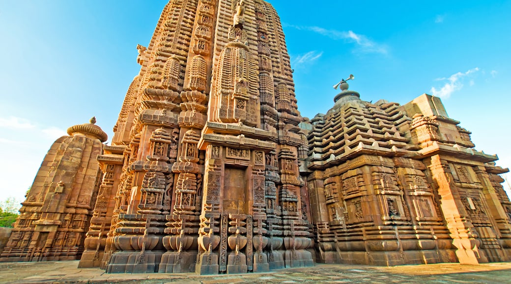 Bhrameswar Temple, Bhubaneswar, Orissa, India
