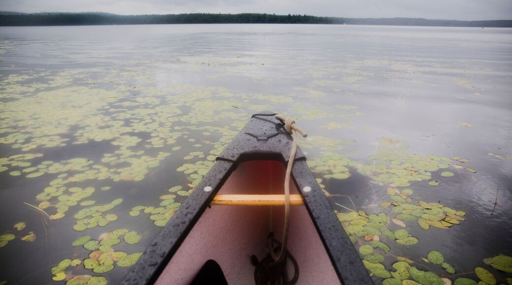 Reserva de la naturaleza La Verendrye