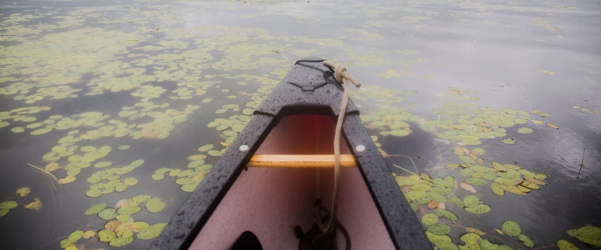 A canoe on a lake with lily pads and a forest in the background.