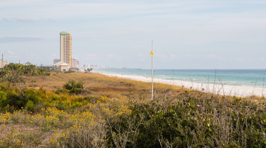 Laguna Beach featuring general coastal views