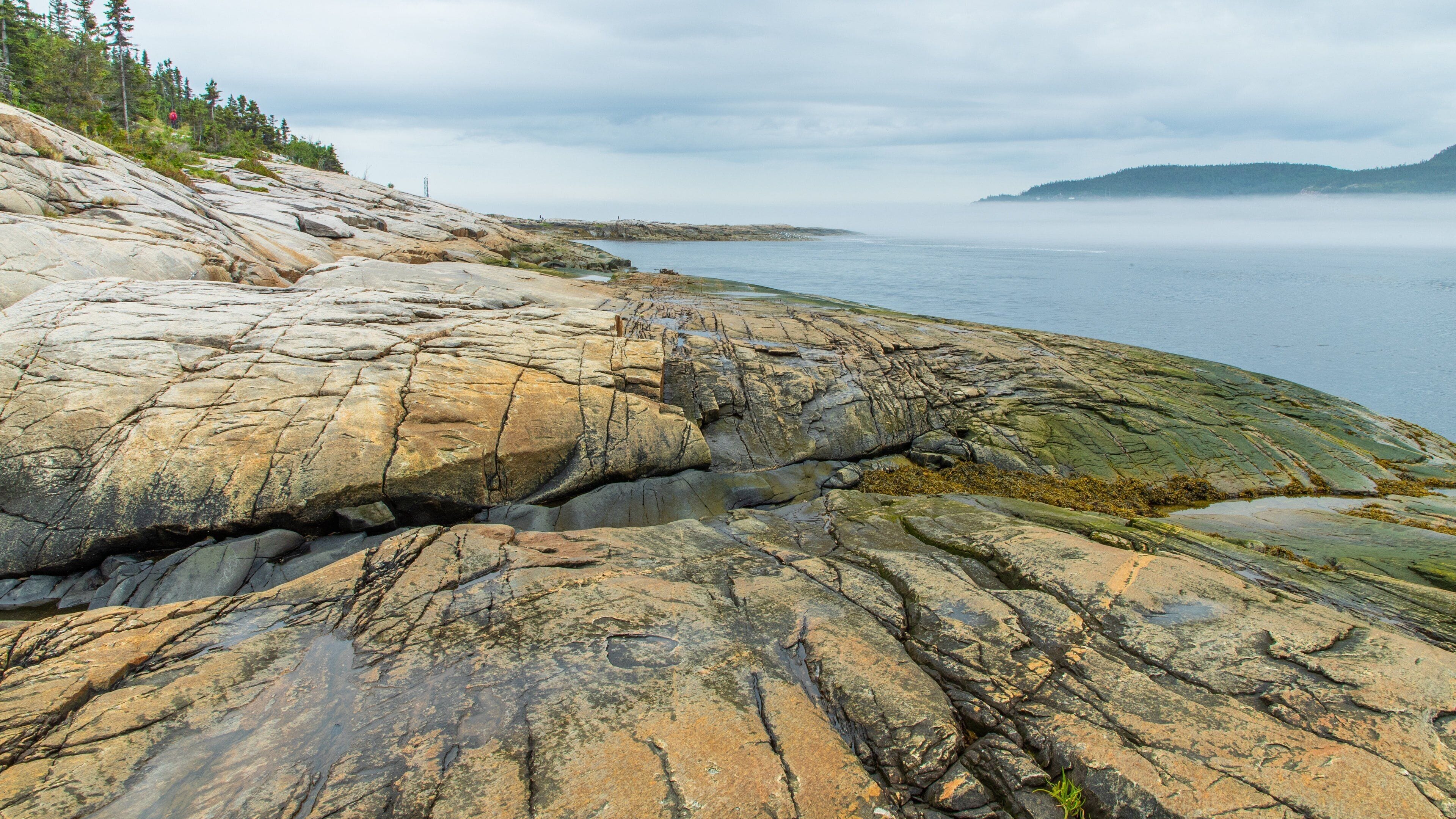 A rocky shoreline with visible cracks and moss growth, a forested hill in the background, and a body of water with a misty horizon.
