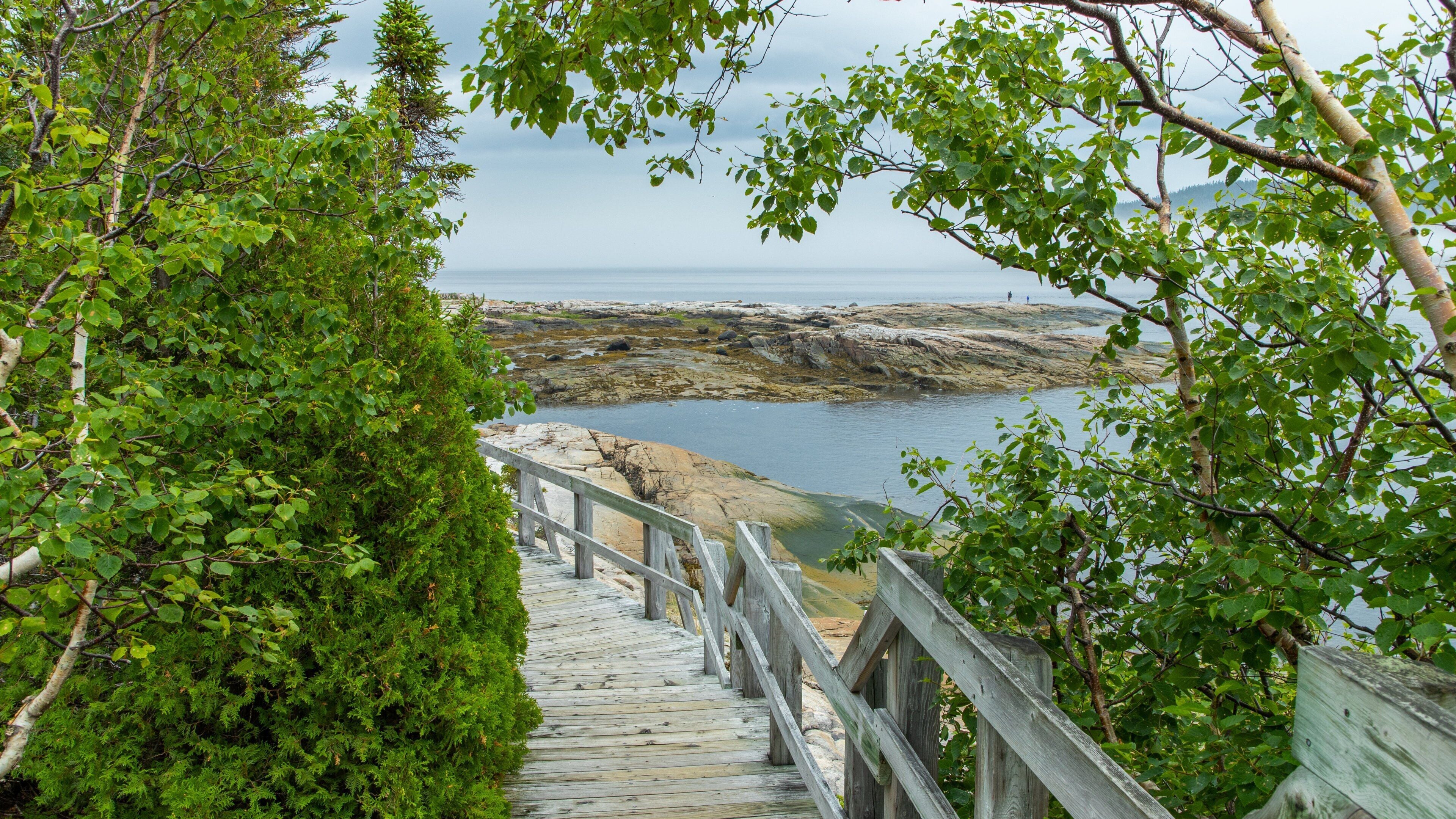 Sentier de la Pointe-de-l\'Islet which includes rocky coastline and general coastal views