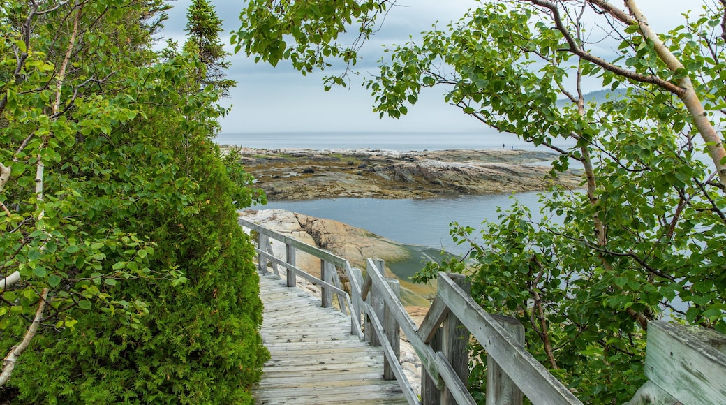 Sentier de la Pointe-de-l\'Islet which includes rocky coastline and general coastal views