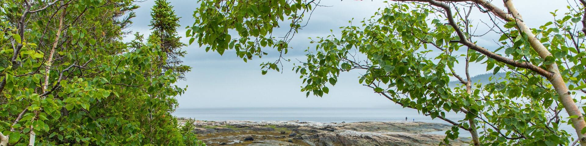 Sentier de la Pointe-de-l\'Islet which includes rocky coastline and general coastal views