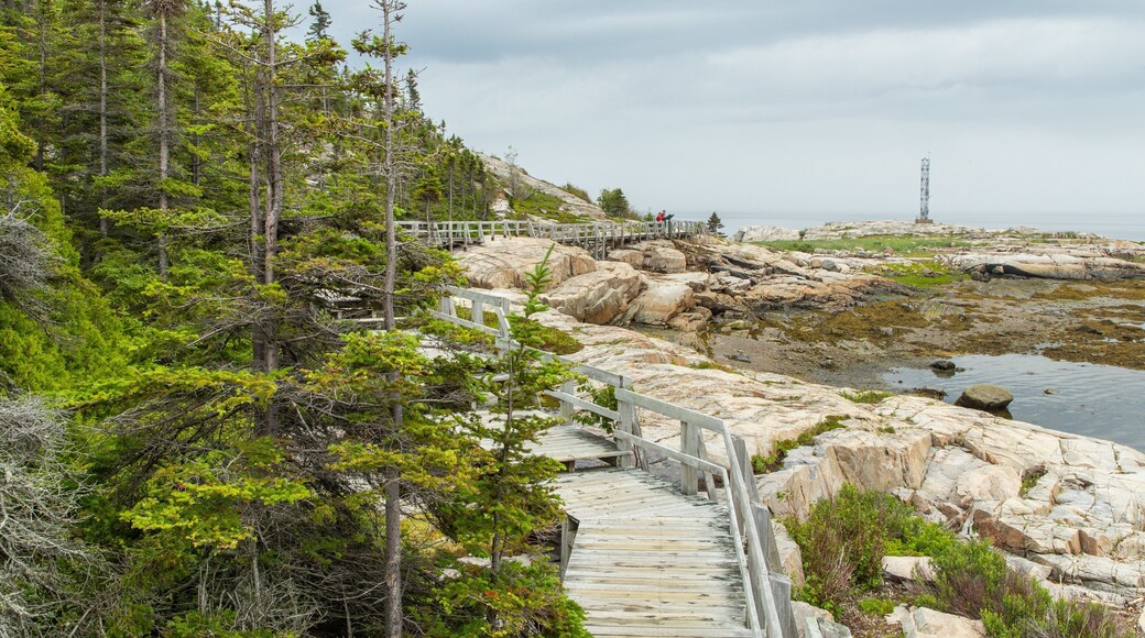 Sentier de la Pointe-de-l\'Islet featuring general coastal views and rugged coastline
