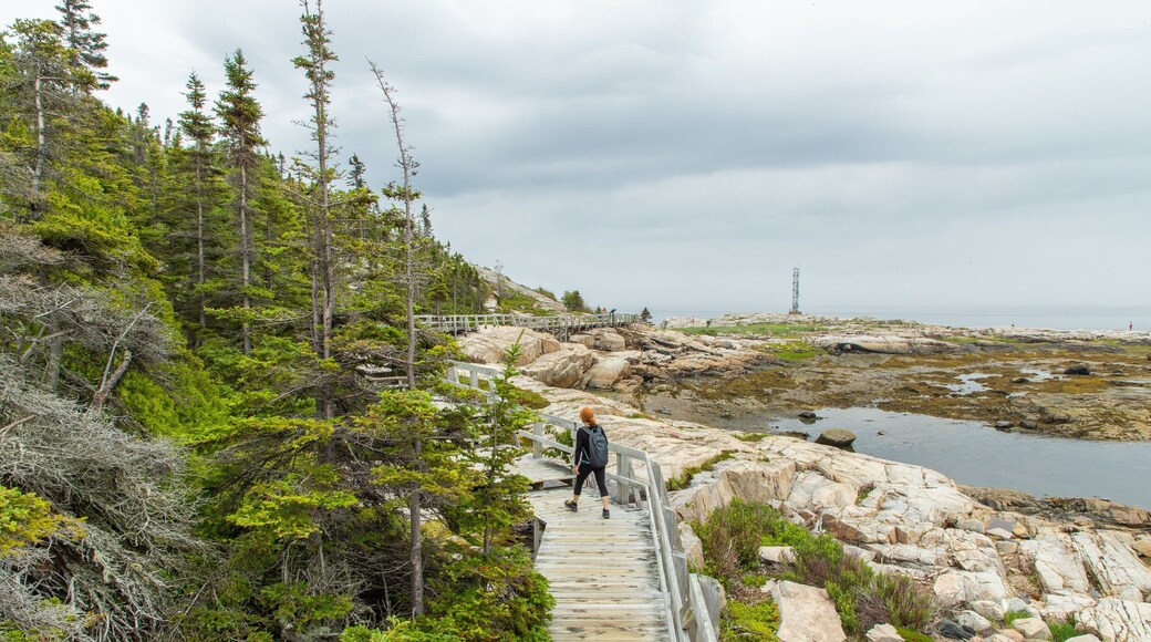 Sentier de la Pointe-de-l\'Islet featuring general coastal views and rocky coastline as well as an individual femail