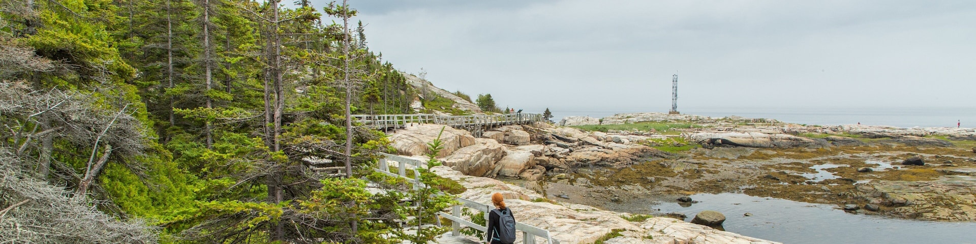 Sentier de la Pointe-de-l\'Islet featuring general coastal views and rocky coastline as well as an individual femail