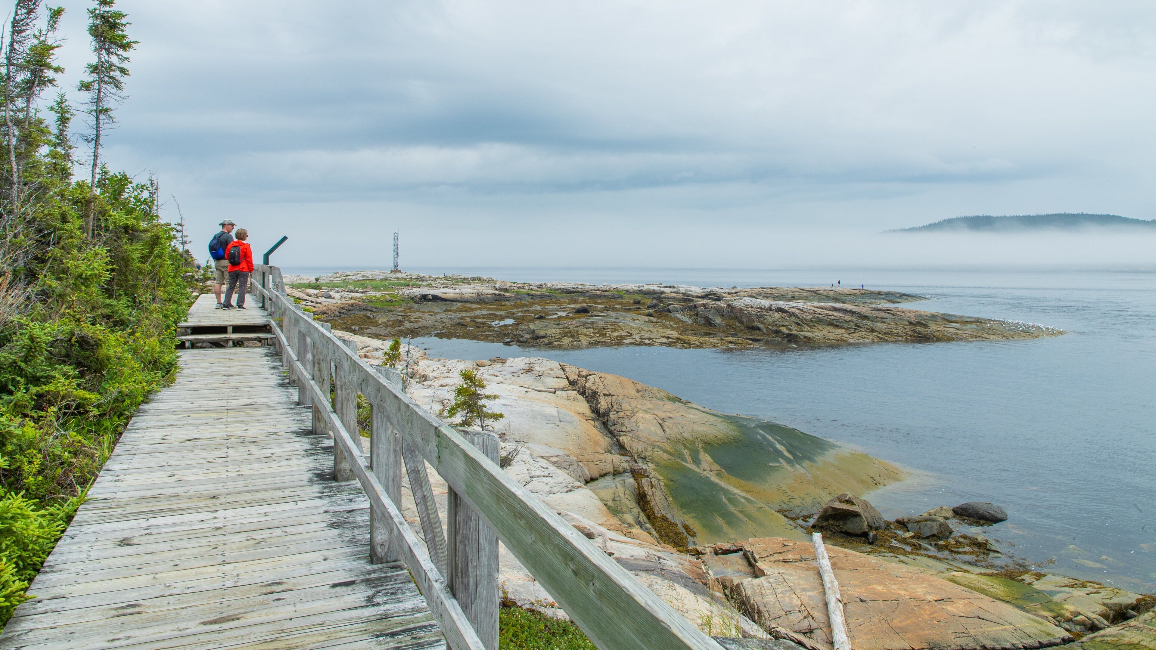 Sentier de la Pointe-de-l\'Islet showing general coastal views and rugged coastline as well as a couple
