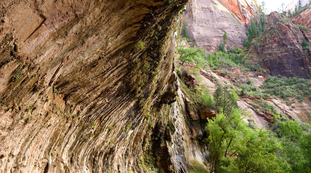 자이언 국립공원 이 포함 한적한 풍경