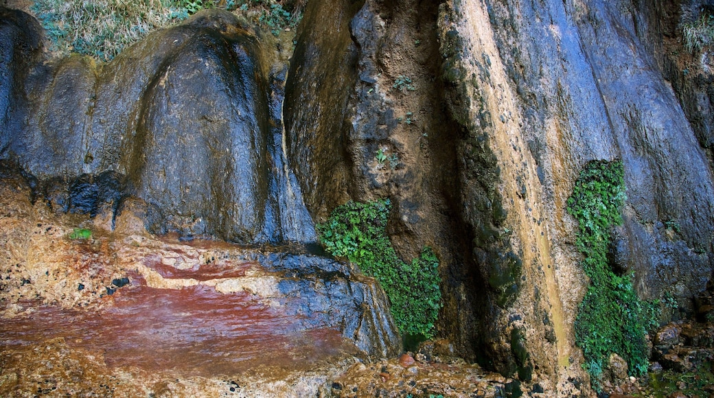 Zion National Park showing tranquil scenes