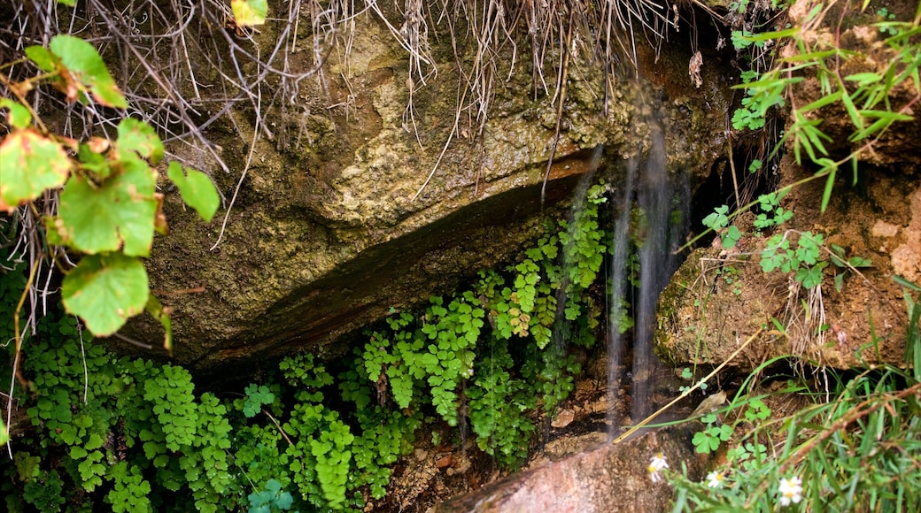Zion National Park which includes tranquil scenes