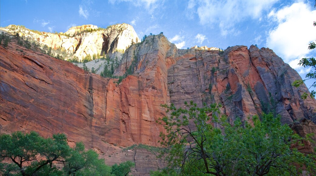 Temple of the Sinawava featuring mountains and landscape views