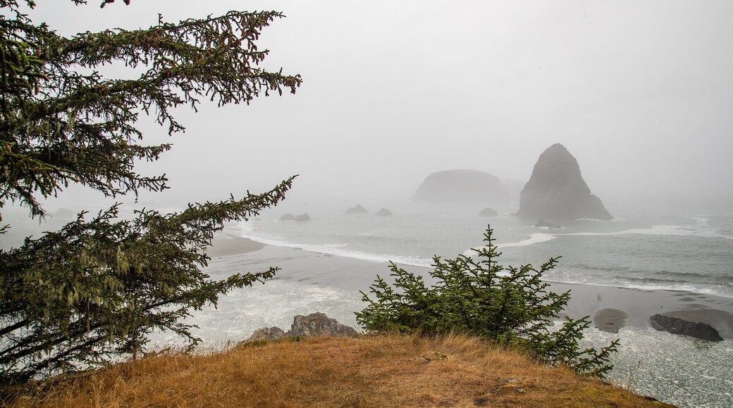 Whaleshead Beach which includes mist or fog, general coastal views and rugged coastline