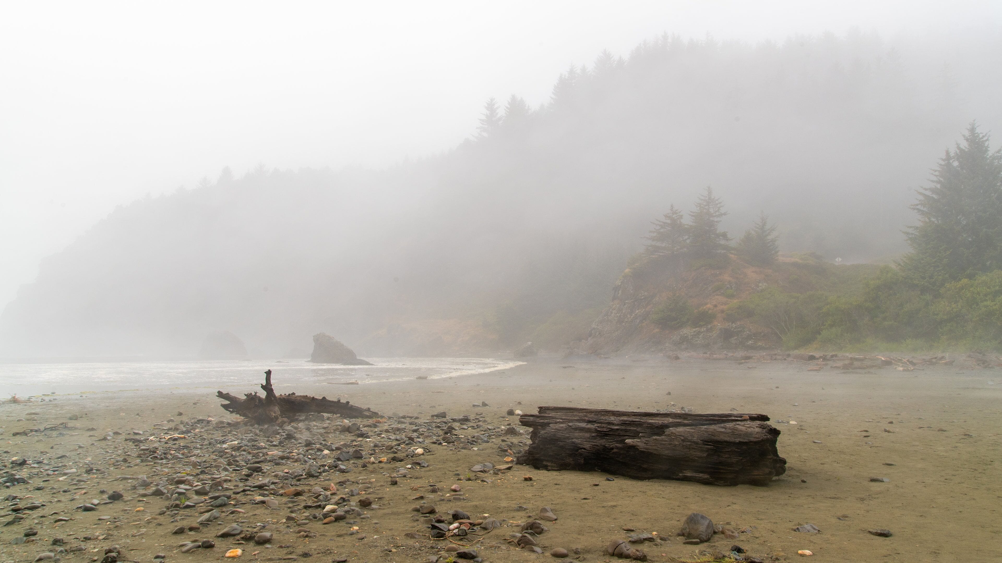 Whaleshead Beach featuring general coastal views and mist or fog
