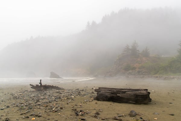 Whaleshead Beach featuring general coastal views and mist or fog
