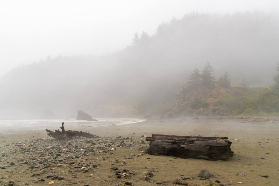 A foggy beach with driftwood and rocks.