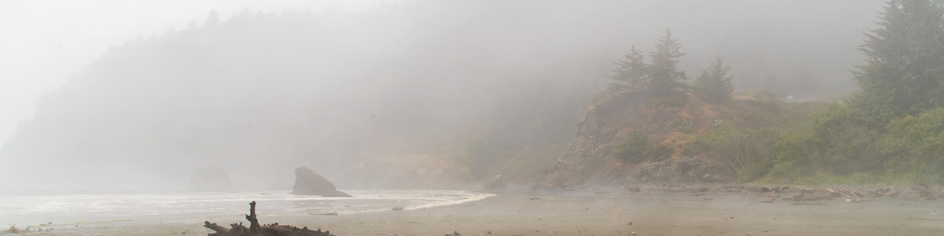 Whaleshead Beach featuring general coastal views and mist or fog