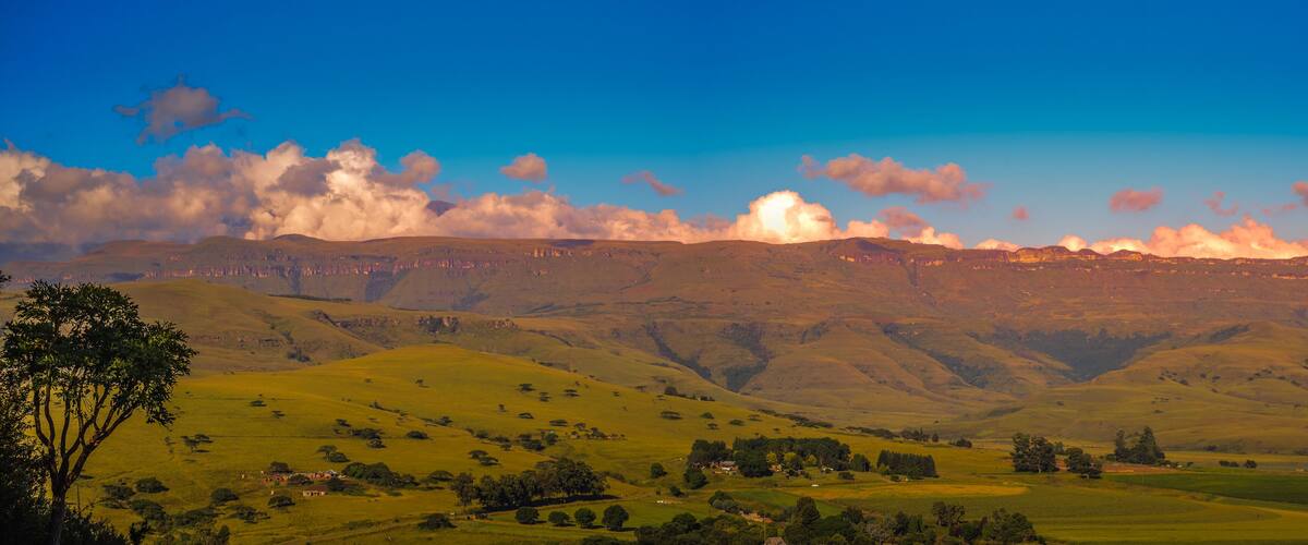 Rolling hills, a tree, and a distant mountain range under a clear sky.
