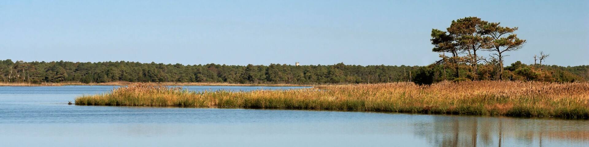 AT9NBR Scrub pines at Gordons Pond Lewes Delaware