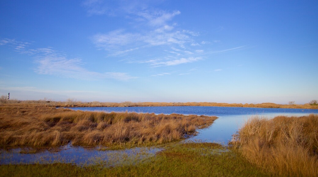 Cape Hatteras National Seashore que inclui um lago ou charco e cenas tranquilas