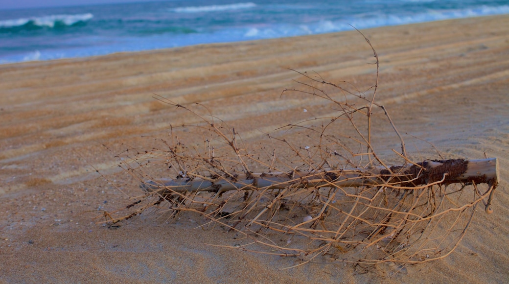 Cape Hatteras National Seashore featuring a beach