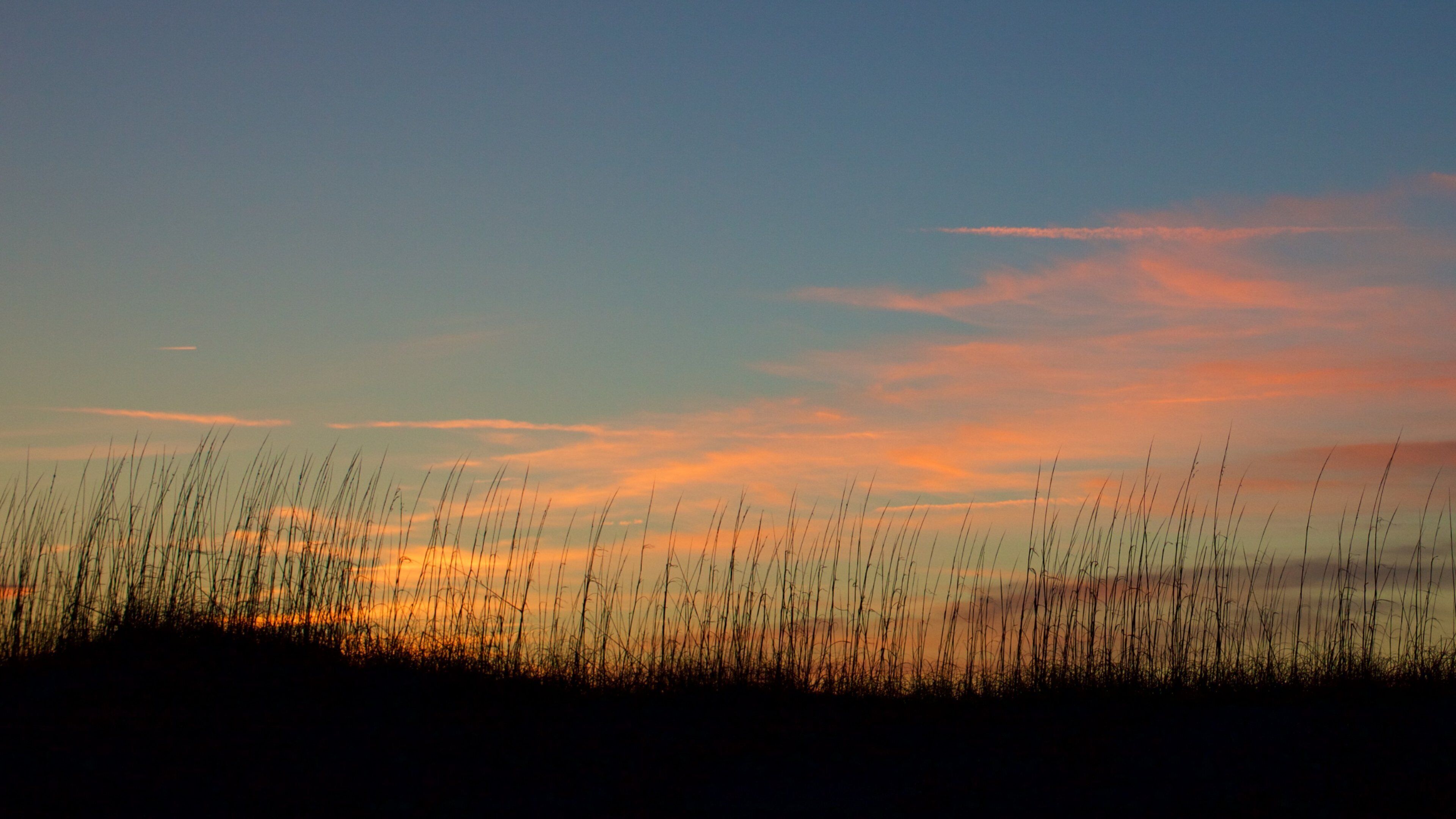 Cape Hatteras National Seashore which includes a sunset