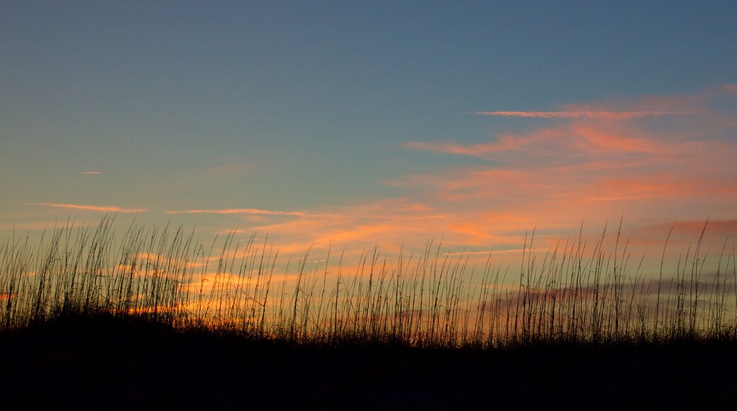 Cape Hatteras National Seashore which includes a sunset