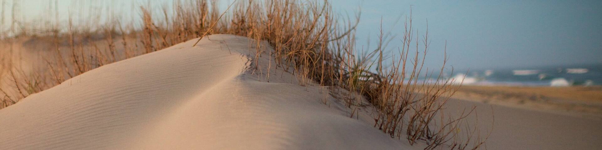 Cape Hatteras National Seashore which includes a sandy beach and tranquil scenes