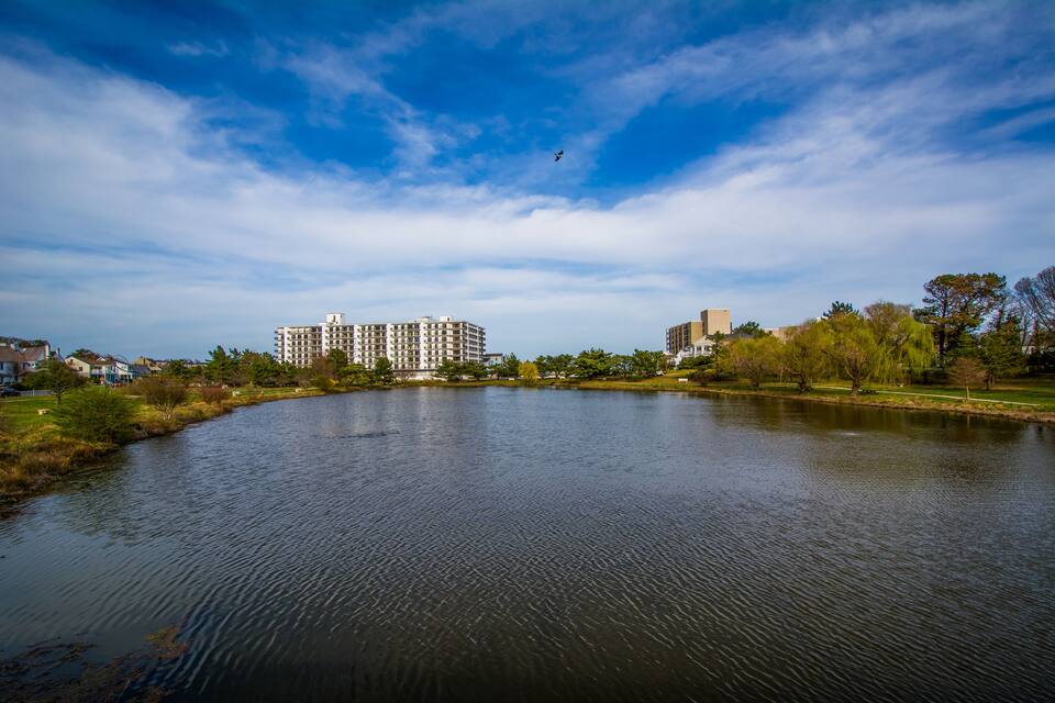 Un llac tranquil amb cel blau, envoltat d'edificis i arbres.