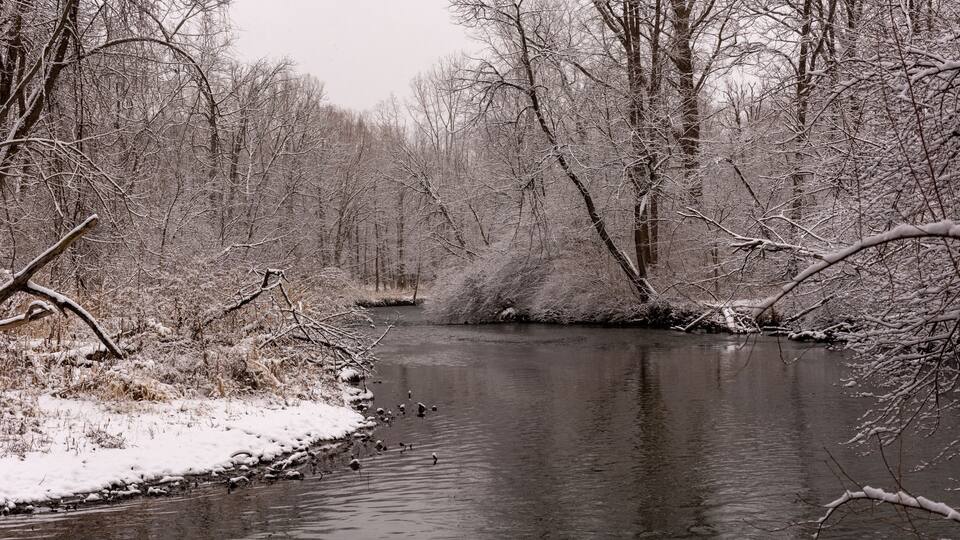 A river surrounded by snow-covered trees and a snow-covered bank.