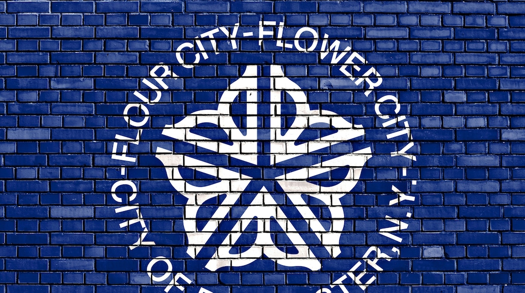 flag of Rochester painted on brick wall