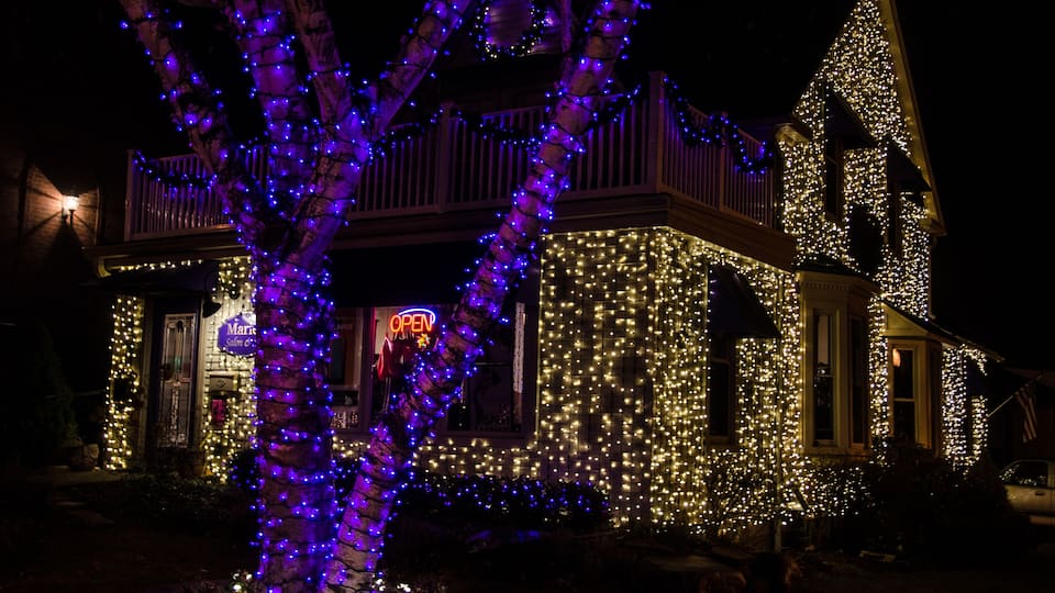 A house decorated with lights, a tree with blue lights, and a neon sign.