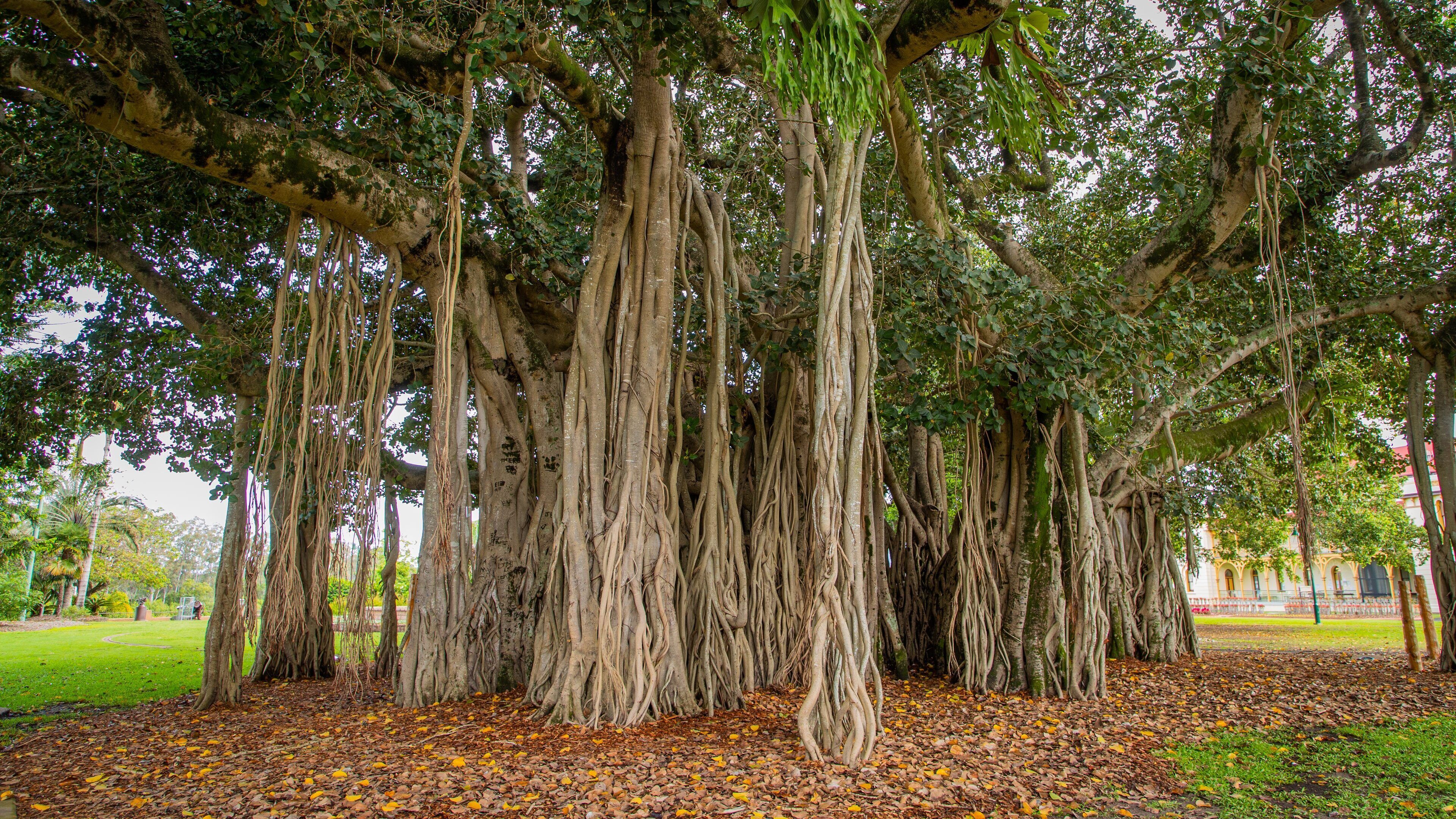 Queens Park which includes a park