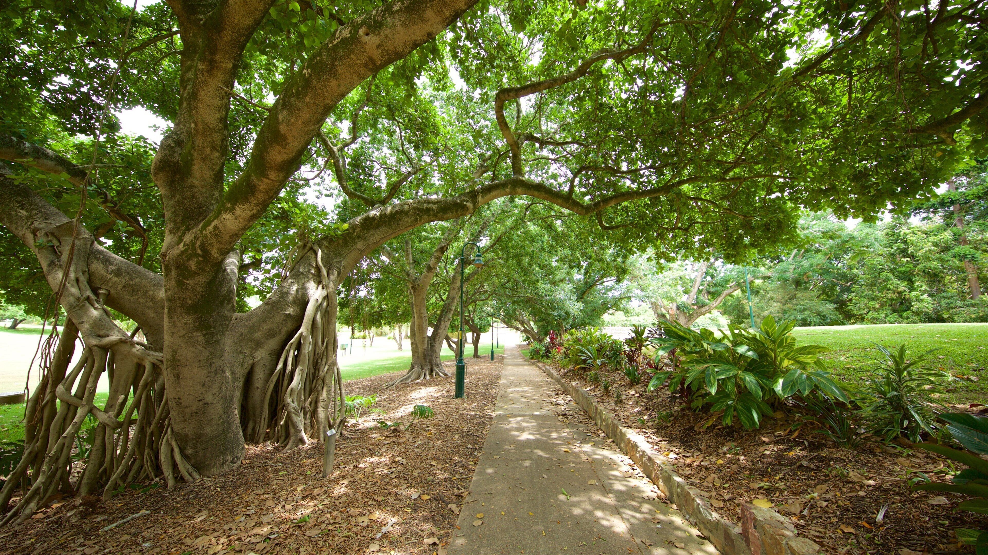 Queens Park mostrando jardín