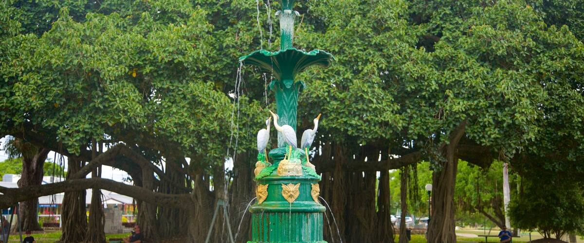 Queens Park featuring a garden and a fountain