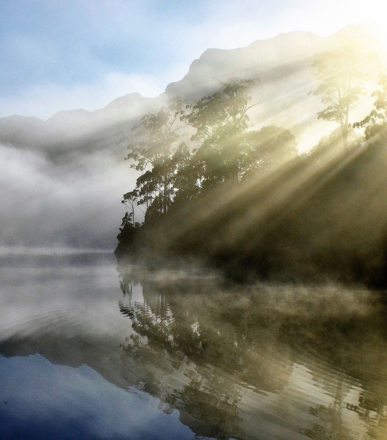 I took this shot on my way to climb Mt. Murchison.  Had to stop and get that early morning mist.