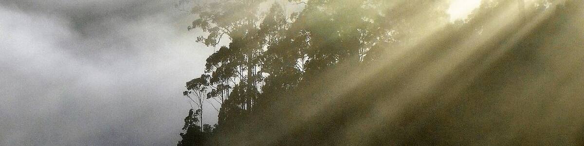 I took this shot on my way to climb Mt. Murchison. Had to stop and get that early morning mist.
