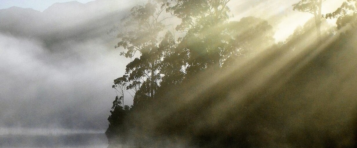 I took this shot on my way to climb Mt. Murchison.  Had to stop and get that early morning mist.