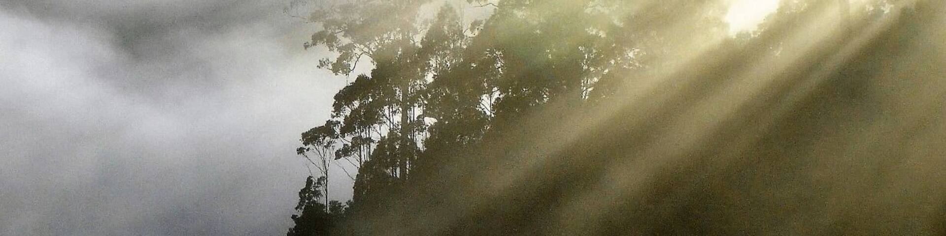 I took this shot on my way to climb Mt. Murchison. Had to stop and get that early morning mist.