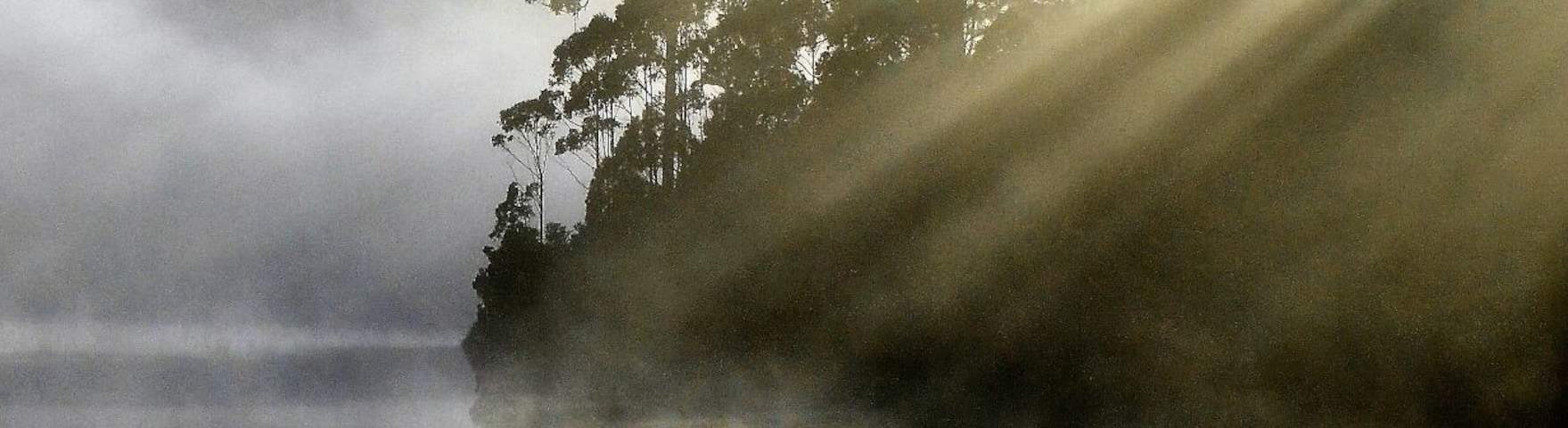 I took this shot on my way to climb Mt. Murchison.  Had to stop and get that early morning mist.