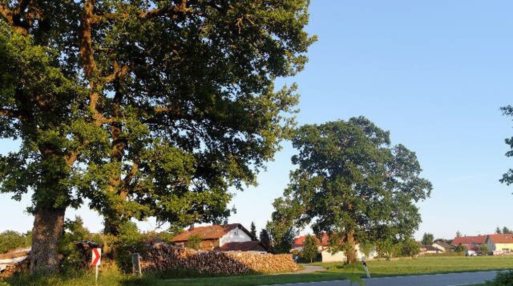 Eichenweg bei Niederpframmern