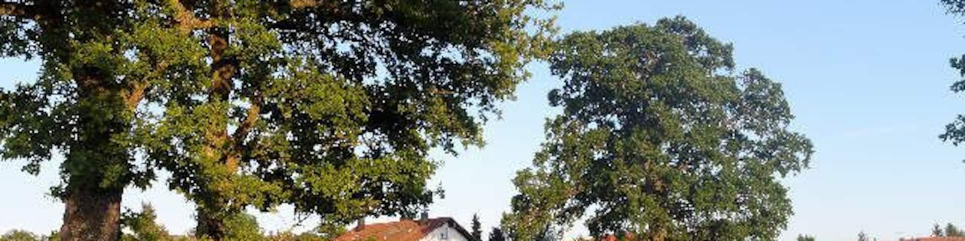 Eichenweg bei Niederpframmern